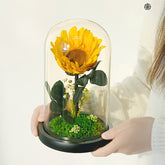 Sunlight in Bloom – Everlasting Flower Jar